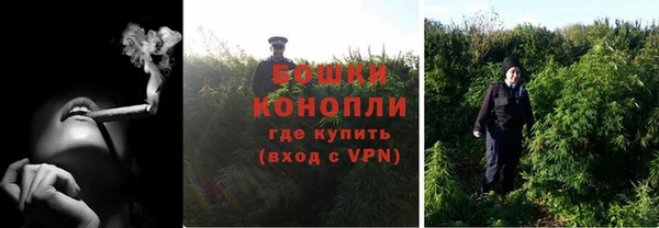 сатива Михайловск