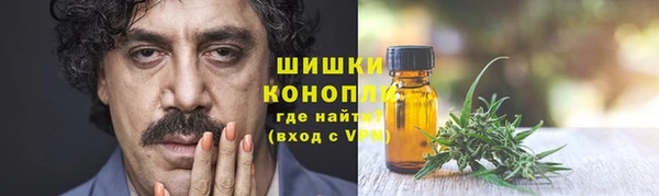 сатива Аркадак