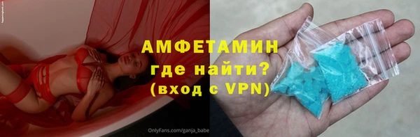 сатива Аркадак