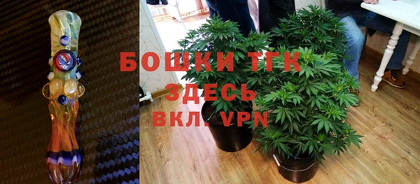 сатива Аркадак