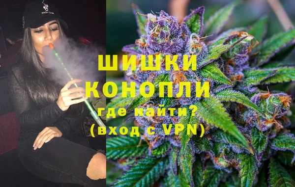 сатива Аркадак