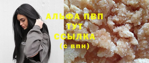 сатива Аркадак