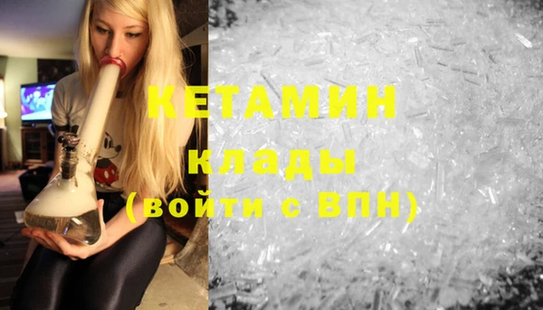 сатива Аркадак