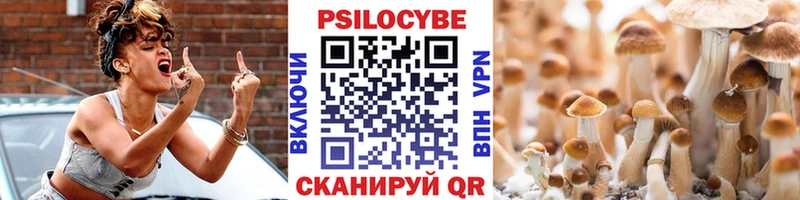 Галлюциногенные грибы Psilocybine cubensis маркетплейс официальный сайт Теберда где продают наркотики